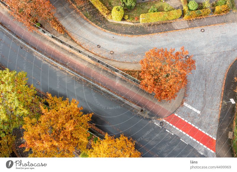 letzte Ausfahrt Herbst Straße Wege & Pfade Straßenverkehr Menschenleer Verkehrswege Linie Fahrbahnmarkierung Fahrradweg Farbfoto Asphalt Drohnenansicht