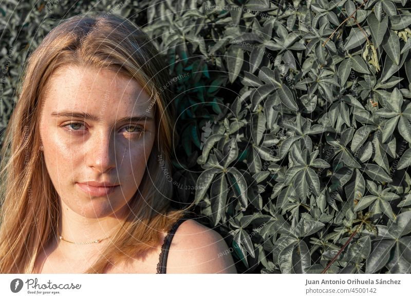 Close-up-Porträt eines blonden Mädchens mit Sommersprossen auf einem Hintergrund von Blättern bizarr frisch jung Frau Junge Frau Glamour lange Haare Menschen