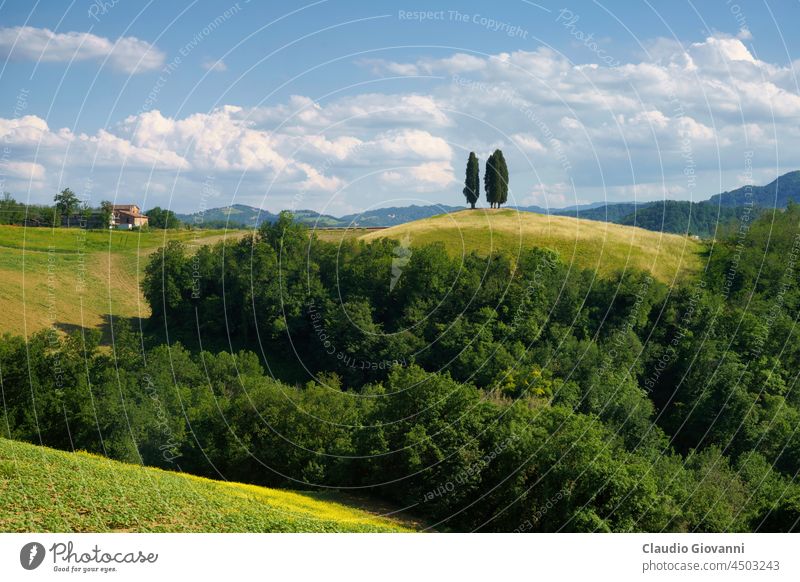 Ländliche Landschaft in den Hügeln bei Bologna, Emilia-Romagna. Botteghino di Zocca Europa Italien Monteveglio Ackerbau Calanques Zypresse Außenseite Bauernhof
