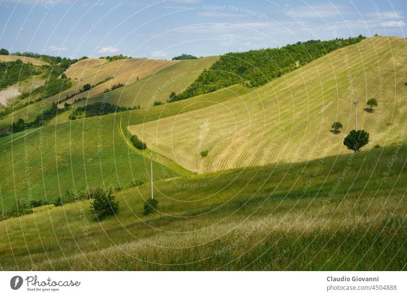 Ländliche Landschaft an der Straße von Sassuolo nach Serramazzoni, Emilia-Romagna. Europa Italien Modena Ackerbau Calanques Außenseite Bauernhof Feld grün Hügel