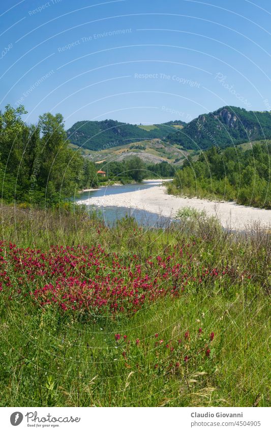 Ländliche Landschaft bei Pavullo nel Frignano, Emilia-Romagna. Europa Italien Modena Panaro Ackerbau Calanques Außenseite Bauernhof Feld Blume grün Hügel