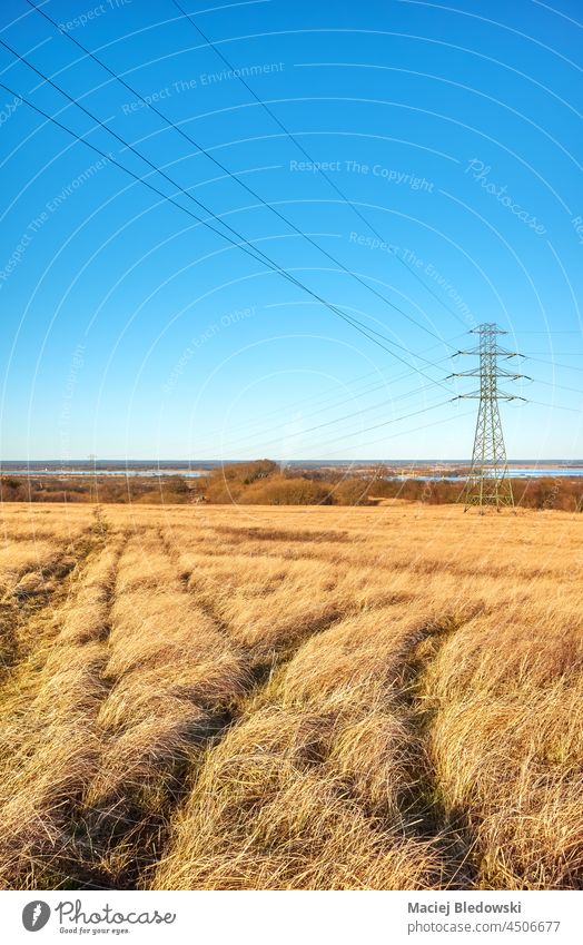 Ländliche Landschaft mit Hochspannungsmast auf einem Feld. Übertragung Turm Industrie Himmel Kraft Elektrizität Linie Natur Pylon Umwelt Energie Kabel