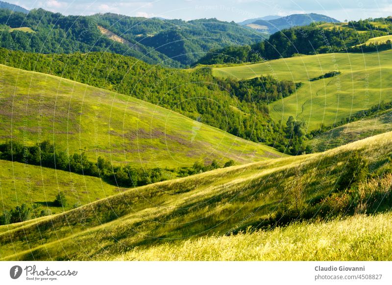 Ländliche Landschaft in den Hügeln bei Bologna, Emilia-Romagna. Botteghino di Zocca Europa Italien Monteveglio Ackerbau Calanques Zypresse Außenseite Bauernhof