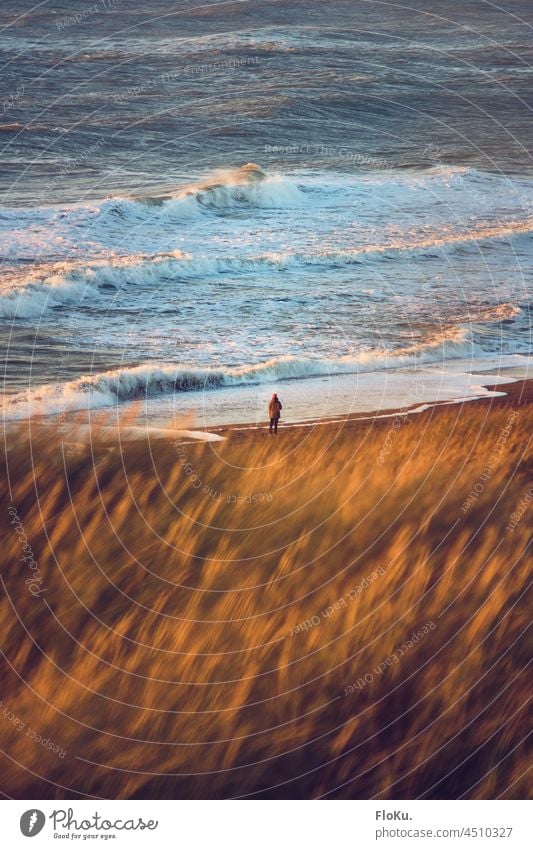Person steht am Meer im Abendlicht alleine einsam Nordseeküste Wellen Wasser Strand Küste Natur Ferien & Urlaub & Reisen Sand Landschaft Außenaufnahme Tourismus