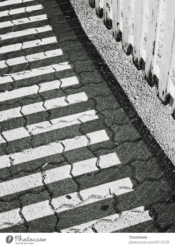 Ein betagter Lattenzaun und sein Schatten Zaun Holz alt verwittert Wege & Pfade Pflastersteine Linien Schwarzweißfoto grau schwarz Menschenleer Sonnenlicht
