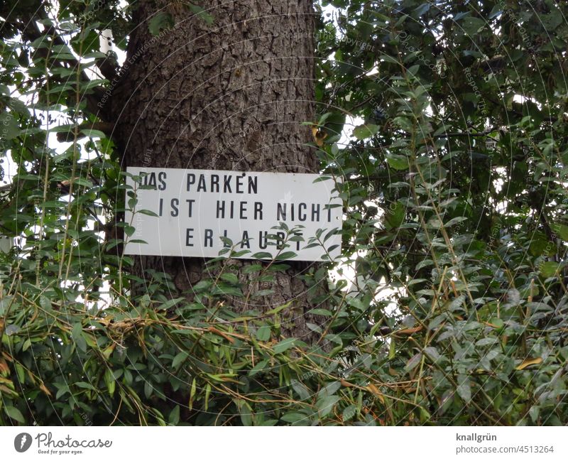 Das Parken ist hier nicht erlaubt Parkverbot Schilder & Markierungen Hinweisschild Baum grün Hecke Außenaufnahme Warnschild Farbfoto Menschenleer Schriftzeichen