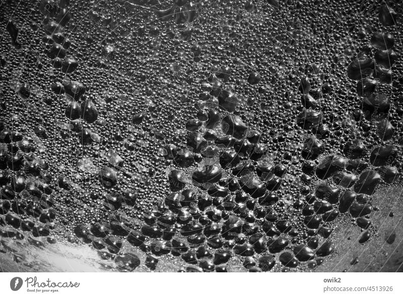 Getröpfel Wassertropfen Hintergrundbild Ordnung Makroaufnahme Detailaufnahme Mikrofotografie viele Strukturen & Formen Nahaufnahme abstrakt Muster verschwommen