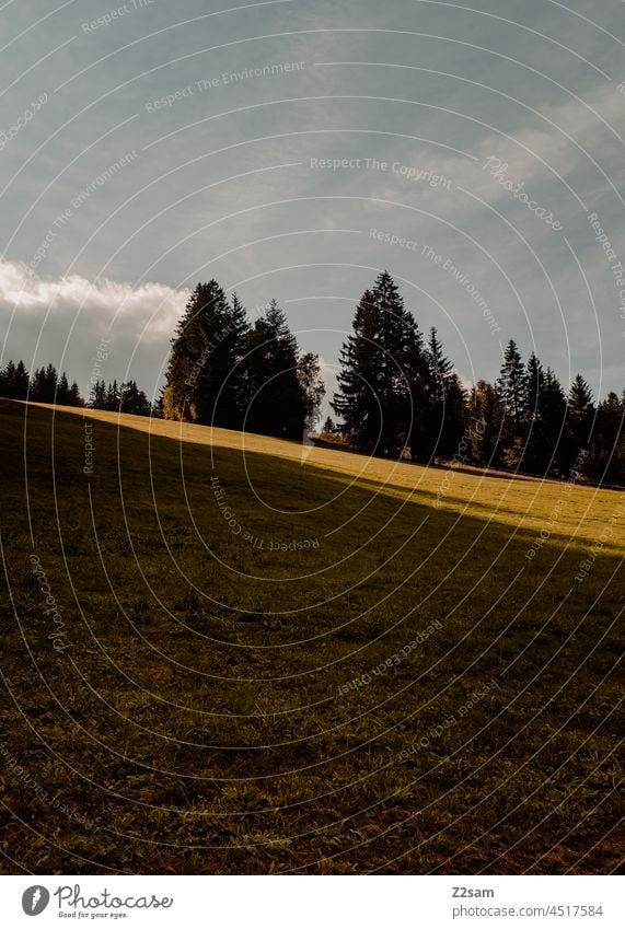 Berglandschaft im Zwielicht wald Berge u. Gebirge hang bäume natur nachhaltigkeit schatten sonnelicht blauer himmel herbst herbstfarben wolken warme farben