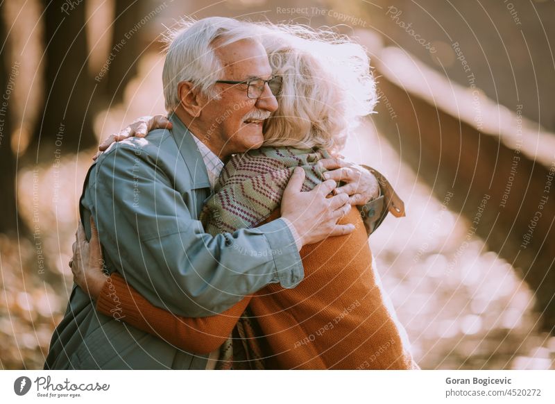 Älteres Paar, das sich im Herbst im Park umarmt gealtert Alterung schön lässig heiter Holunderbusch älter umarmend Genuss Großvater Großmutter grau Fröhlichkeit