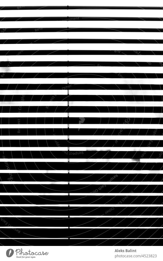 Jalousie in schwarzweiß Jalousien Fenster Schatten Licht Kontrast Strukturen & Formen Rollo