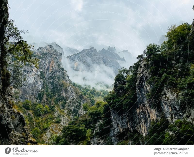 Blick auf die Berglandschaft auf der Ruta del Cares in den Europagipfeln, in Asturien, Spanien. Natur Landschaft Berge neblig Nebel Route Park Hügel malerisch
