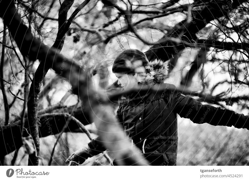 Kind spielt in einem Baum im Herbst spielen draußen draußensein draußen spielen Baumstamm Äste Kindheit Natur Spielen Freude Außenaufnahme Mädchen Bewegung Spaß