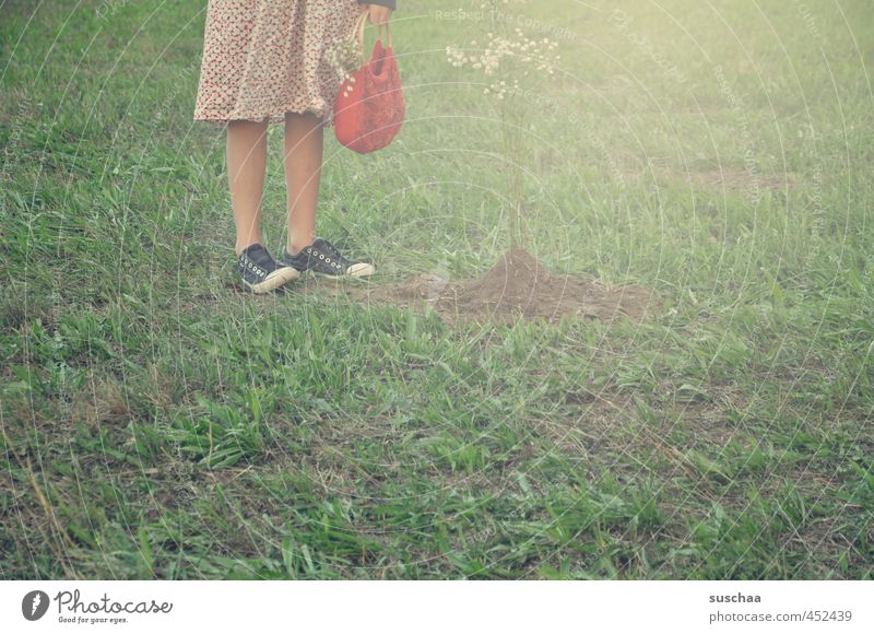 rotkäppchen feminin Mädchen junges Mädchen weiblich Kind Kindheit Körper Haut Beine Fuß 8-13 Jahre Umwelt Sommer Gras Garten Wiese Feld stehen grün Schuhe Kleid