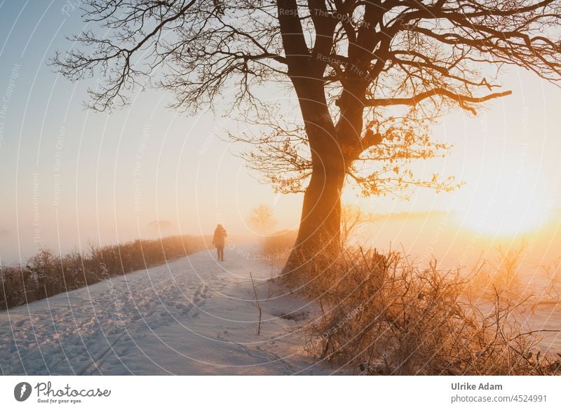 Spaziergang im Schnee - Winter im Teufelsmoor bei Worpswede. Traumhafter Sonnenaufgang im Schnee Dunst Hoffnung Trauer trauerkarte Romantik Meditation Stimmung