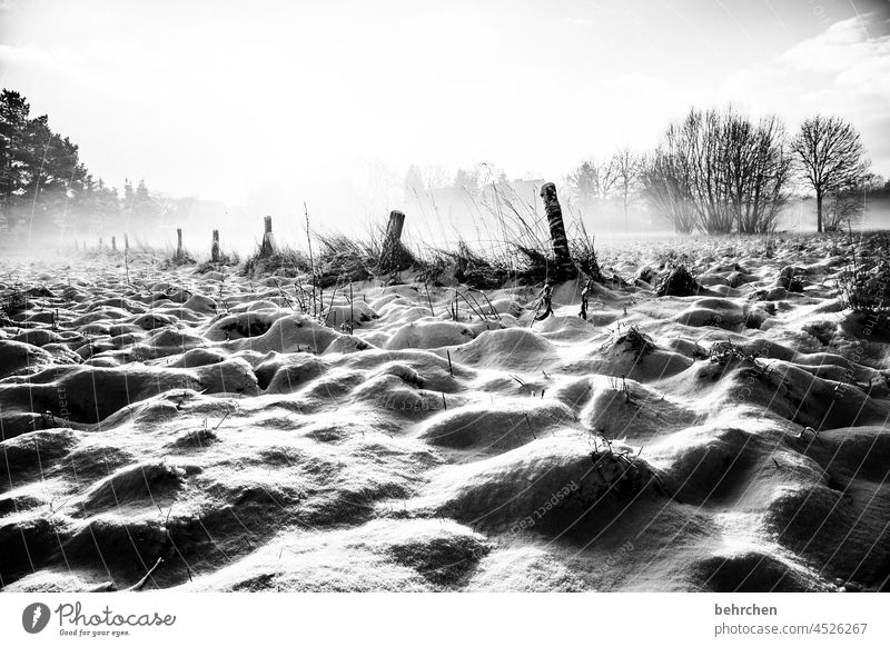 schneeberge Schatten traumhaft träumen Schwarzweißfoto Nebel geheimnisvoll schön verträumt Schneedecke Schneelandschaft Heimat Winterstimmung Wintertag