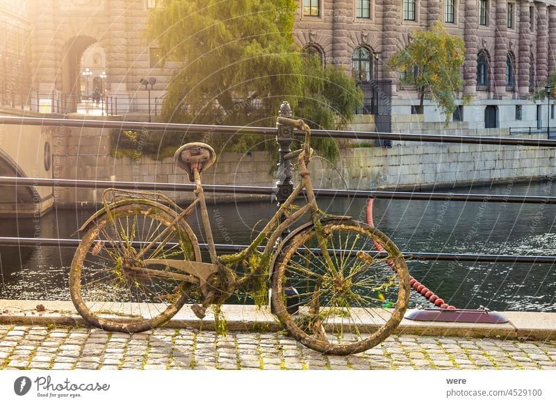 Ein rostiges, altes, mit Seetang bedecktes Fahrrad steht auf dem Geländer eines Kanals in Stockholm h2o liquide Reling Bergung MEER Textfreiraum Fahrradfahren
