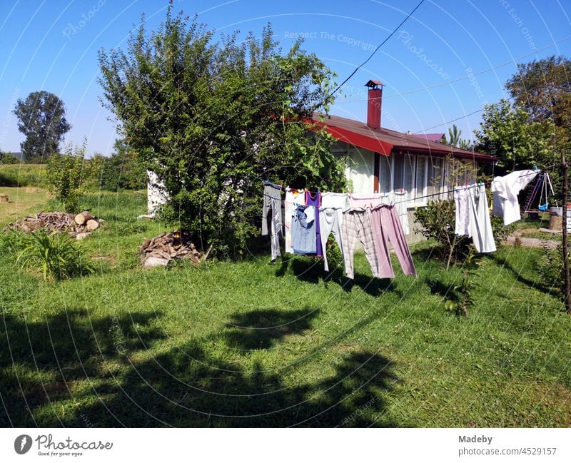 Bunte Wäsche auf der Wäscheleine in einem grünen Garten im Sommer auf dem Lande bei blauem Himmel und Sonnenschein in Maksudiye bei Adapazari in der Provinz Sakarya in der Türkei