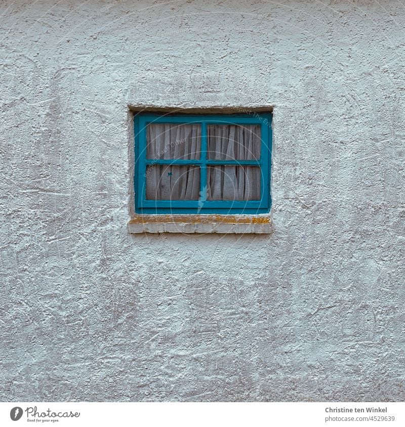 Ein kleines blaues Sprossenfenster mit zugezogenen Vorhängen in einer grob verputzten weißen Wand Fenster blaues Fenster Fensterbrett Fensterrahmen Putzfassade