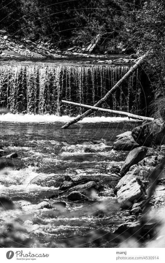 Kreuz aus Baumstämmen vor Wasserfall. Natur kreuzförmig lebendig Lebensraum Lebensspender Urelemente Bach begradigt fließen Bachstufe nass Abholzung