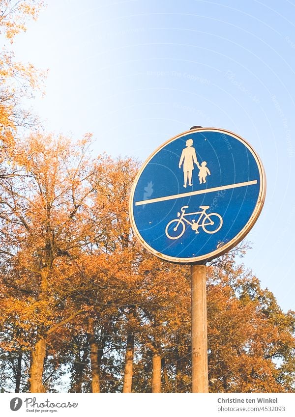 Schilder | Verkehrsschild "gemeinsamer Geh- und Radweg" vor herbstlichen Bäumen und hellblauem Himmel Straßenschild Gehweg Verkehrszeichen weiß Herbstwetter
