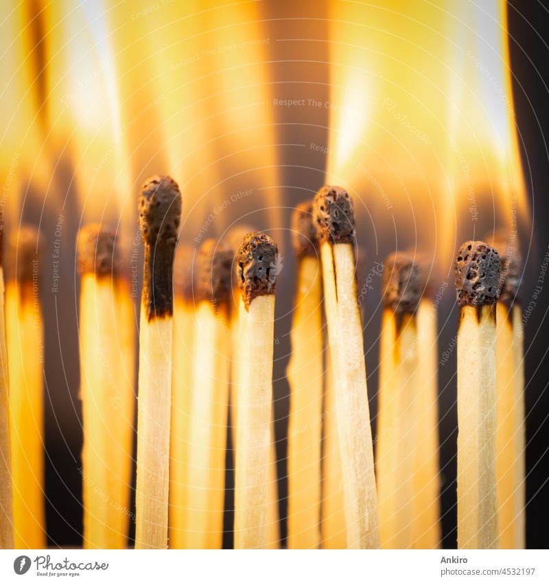 Eine Gruppe von brennenden Streichhölzern, quadratisch Übereinstimmungen Streichholz Feuer kleben Zündholz Flamme Konzept Brandwunde Gefahr Licht Holz