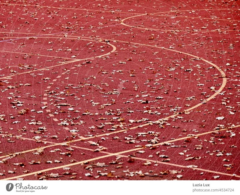 Sportplatz rot, viele Linien und Herbstlaub kieselrot multifunktional Kurven herbstlich Herbstfärbung Blätter Laub gelb golden welk Menschenleer Herbststimmung