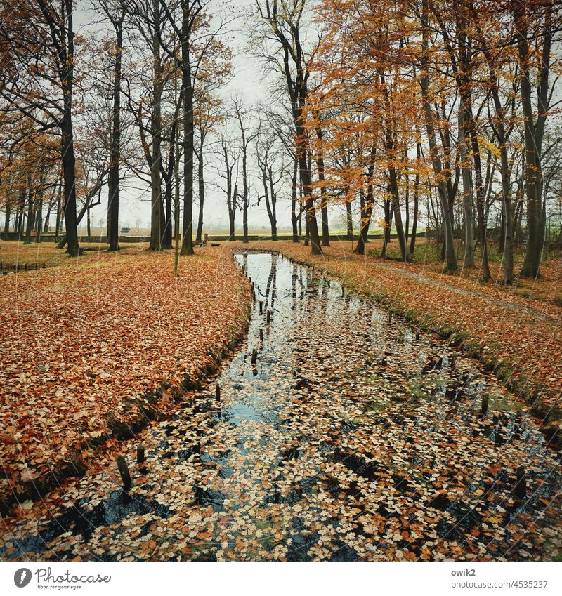 Kanal 4 Wasserstraße Gewässer fließend Farbfoto Landschaft Außenaufnahme Natur Reflexion & Spiegelung Fluss Tag Menschenleer Zentralperspektive