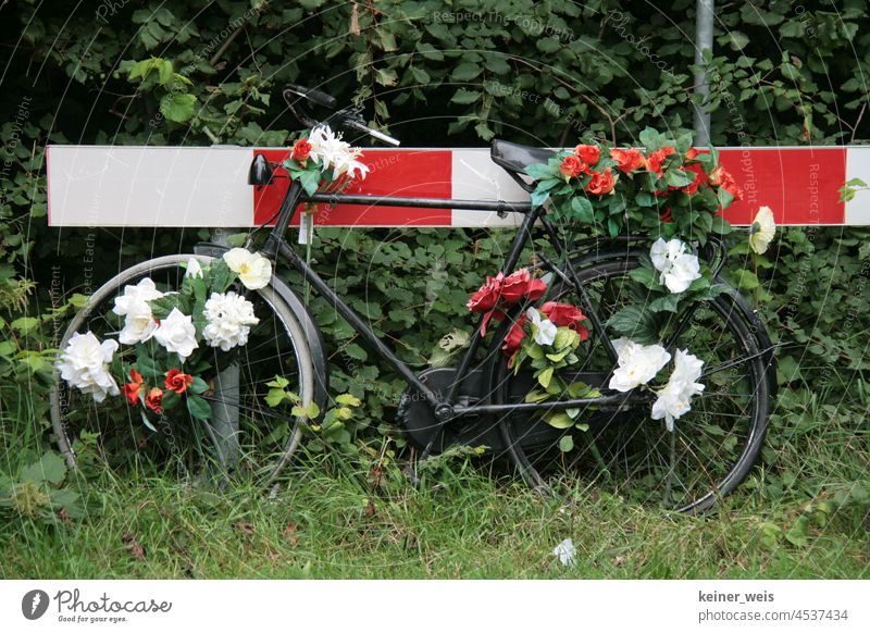 Ein mit Blumen geschmücktes Fahrrad lehnt an einer rotweißen Fahrbahnmarkierung Herrenrad Hollandrad Blumenschmuck Bike Barke Absperrung Lebensfreude Biobike
