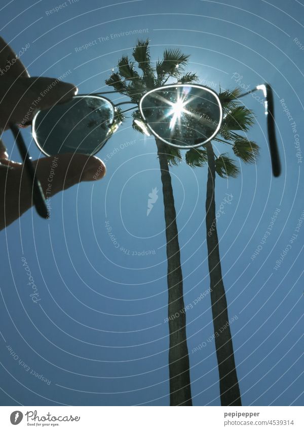 Palmen durch eine Sonnenbrille fotografiert Palmenwedel Himmel Ferien & Urlaub & Reisen Außenaufnahme Sommer Sonnenlicht grün Pflanze Farbfoto Sommerurlaub