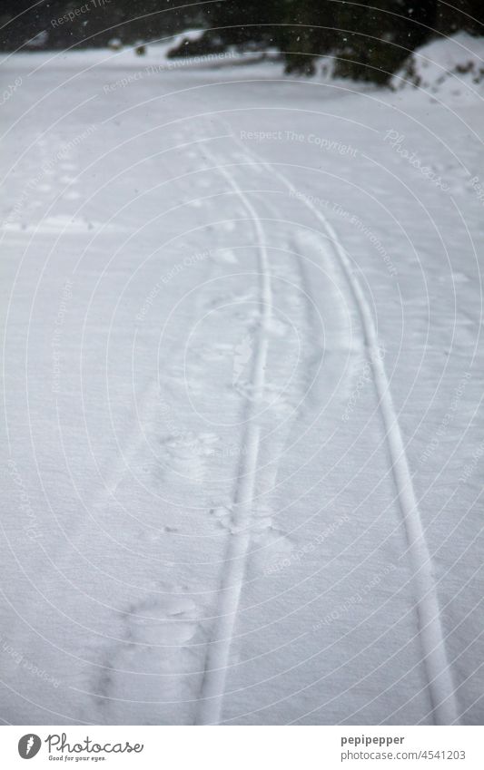 Schlittenspur im Schnee Schlittenspuren spuren im schnee Schneefall Schneedecke Schneelandschaft Winterstimmung kalt Wintertag Natur weiß Frost Außenaufnahme