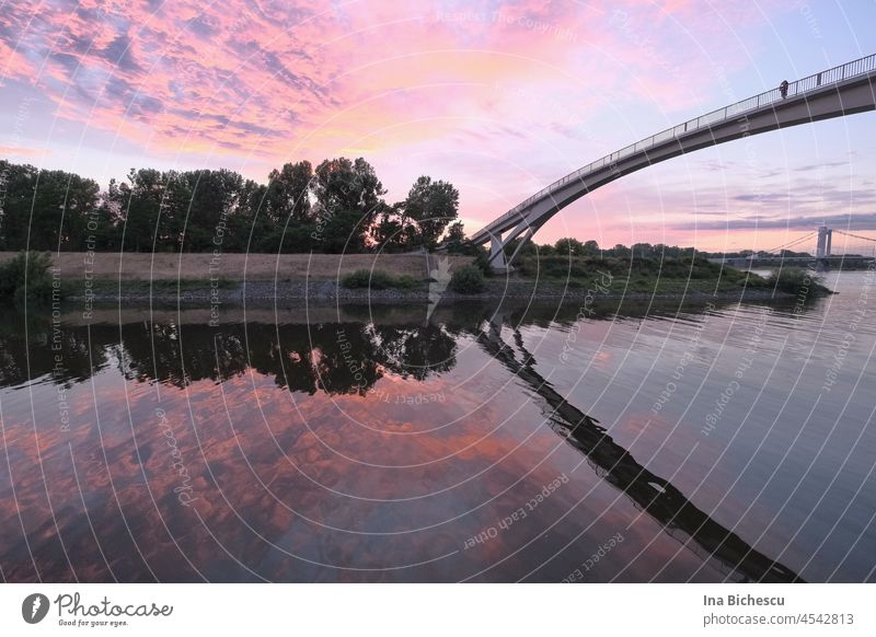 Sonnenuntergang an der Fußgänger Brücke die sich im Rhein spiegelt am Hafen in Köln-Mülheim. Spiegelung im Wasser Reflexion & Spiegelung Abendröte Abendstimmung
