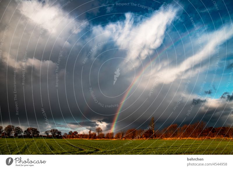 donnerwetter!!! Glück bunt Landwirtschaft Landschaft Ruhe Idylle Farbfoto Himmel Feld Wege & Pfade Umwelt Außenaufnahme Menschenleer Sonnenlicht Natur Sträucher