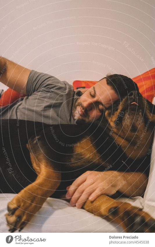 Mann schläft mit seinem Rottweiler-Hund Aktivität Tier authentisch Baby schön bester Freund schwarz züchten Eckzahn Begleiter niedlich heimisch treu Familie
