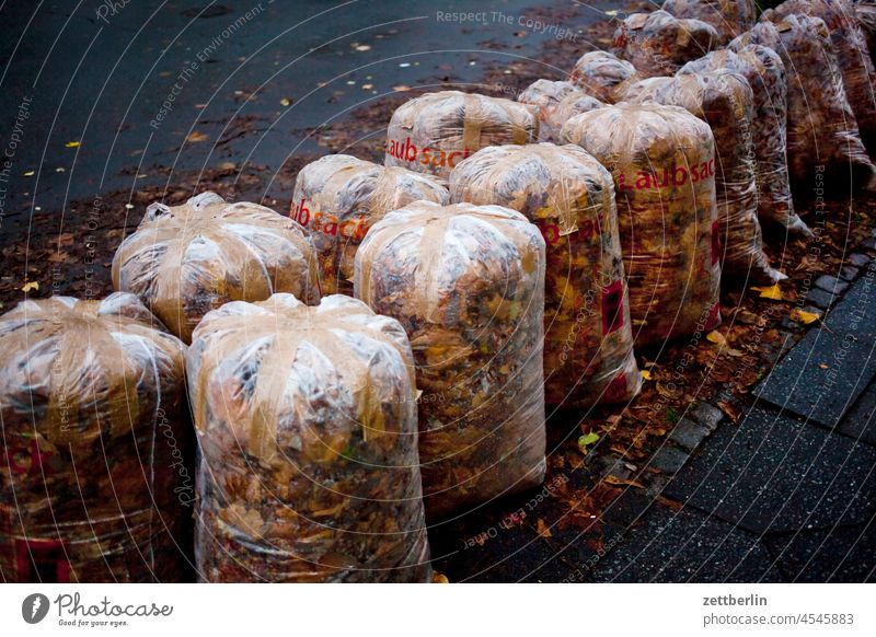 Laubsäcke bürgersteig entsorgung garten gehweg gärtner hausmeister herbst herbstlaub laubfärbung laubsack müll november oktober reihe rest