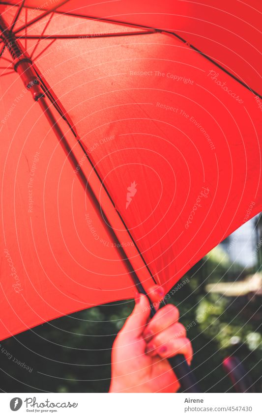 Rotlicht-Therapie rot knallrot Wärme Sonnenschutz Sonnenschirm Schirm beschützen Regenschirm abschirmen heiß Schutzmaßnahme Hand Sommer Witterung Wetter