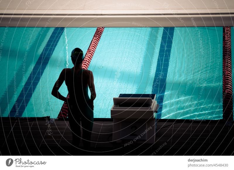 Das Girl steht am Beckenrand des Schwimmbades bereit den  Sprung in das von der Sonne erstrahlen blaue  Wasser zu springen. Schwimmsport Schwimmen & Baden