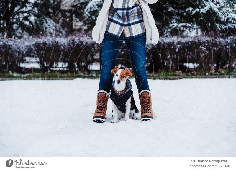 Nahaufnahme einer glücklichen Frau mit Gesichtsmaske in einer verschneiten Landschaft, die mit einem süßen Jack-Russell-Hund im Winter steht jack russell