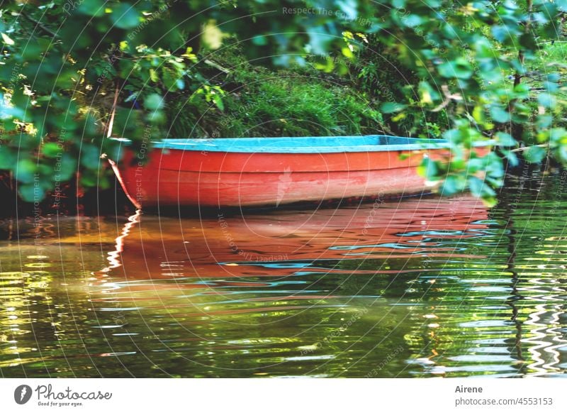einladend Wasser Boot Erholung Schönes Wetter idyllisch ruhig Ufer Stille Sonnenlicht rot Wasserspiegel Natur menschenleer Einsamkeit Wassersport Rückzug