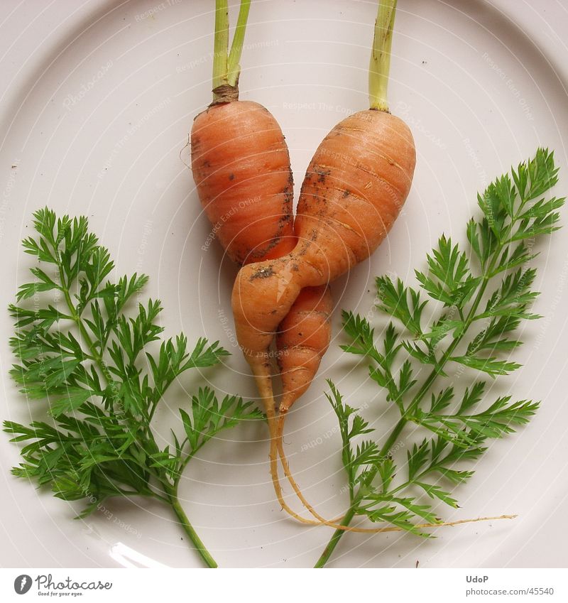 Karottenliebe Möhre 2 Gesundheit Liebe paarweise zusammengehörig