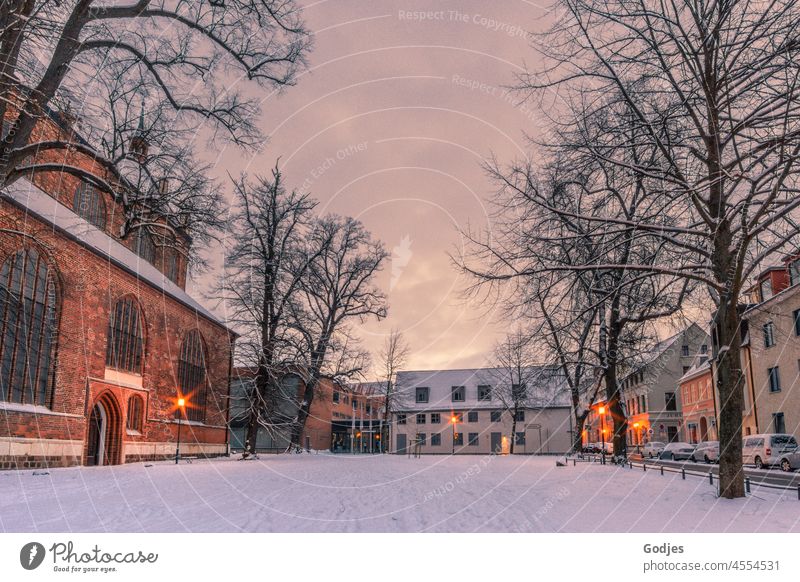 Verschneiter Kirchenvorplatz in Greifswald bei Sonnenaufgang Schnee Bäume Gebäude Wolken Schneelandschaft Winter Natur kalt Landschaft Winterstimmung Wintertag