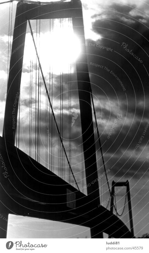 Rheinbrücke Emmerich Gegenlicht schwarz weiß Architektur Brücke