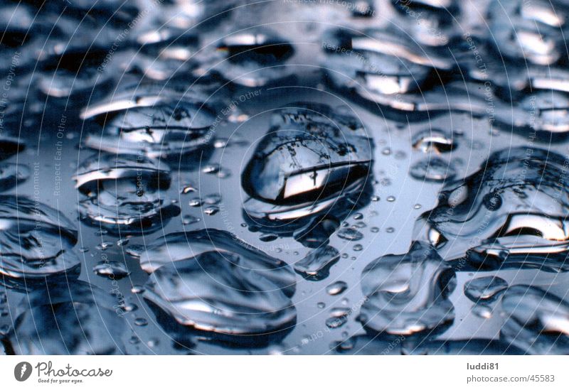 Tropfen Spiegel nah Wasser Wassertropfen Regen Reflexion & Spiegelung