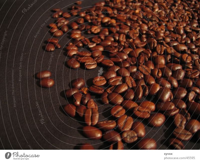 Kaffee Südafrika Espresso Bohnen Cappuccino Ernährung Kaffebohnen