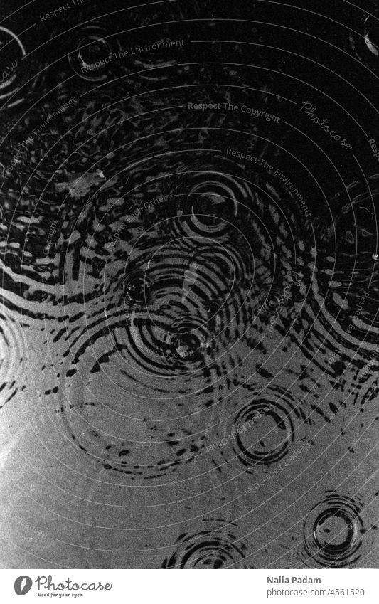 Konzentrisches Wellenspiel analog Analogfoto sw Schwarzweißfoto Regen Wasser rund konzentrisch Tropfen Physik Außenaufnahme menschenleer nass Wassertropfen