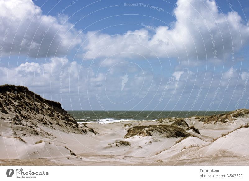 Wellenform an Land Strand Sand Nordsee Dünen Himmel Wolken Wasser blau Natur Ferien & Urlaub & Reisen Dänemark Menschenleer Sandhügel Kraft Dünengras