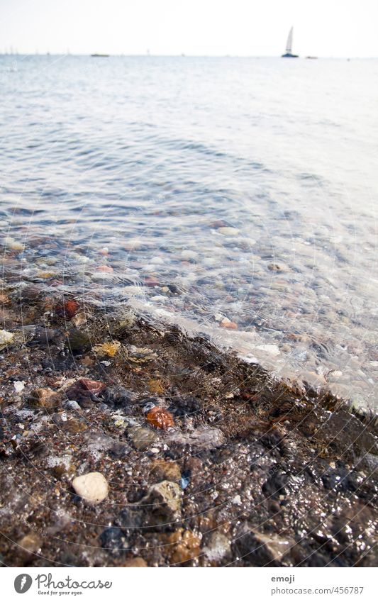 salzig Umwelt Natur Wasser Wellen Küste Ostsee Meer nass natürlich Farbfoto Außenaufnahme Detailaufnahme Menschenleer Tag Schwache Tiefenschärfe