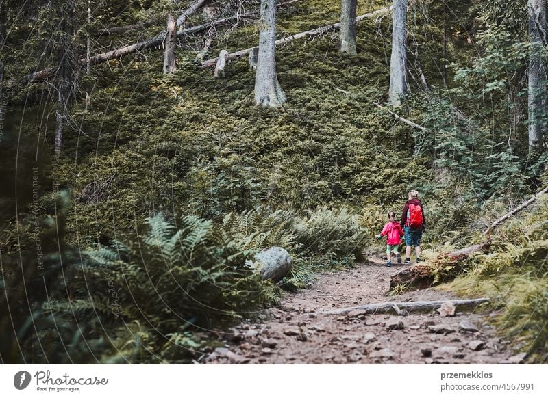 Familienausflug in der Natur. Mutter mit kleinem Mädchen spazieren auf Pfad im Wald Ausflug Urlaub Sommer Wanderung laufen reisen Reise Kind im Freien Erholung