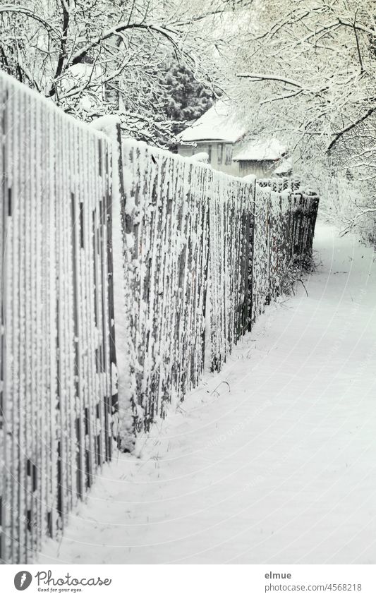 Der verschneite Weg neben dem Holzzaun führt zu einem Gebäude im Hintergrund / Winter / Klima Lattenzaun Schnee Zaun kalt Winterstimmung Schneelandschaft