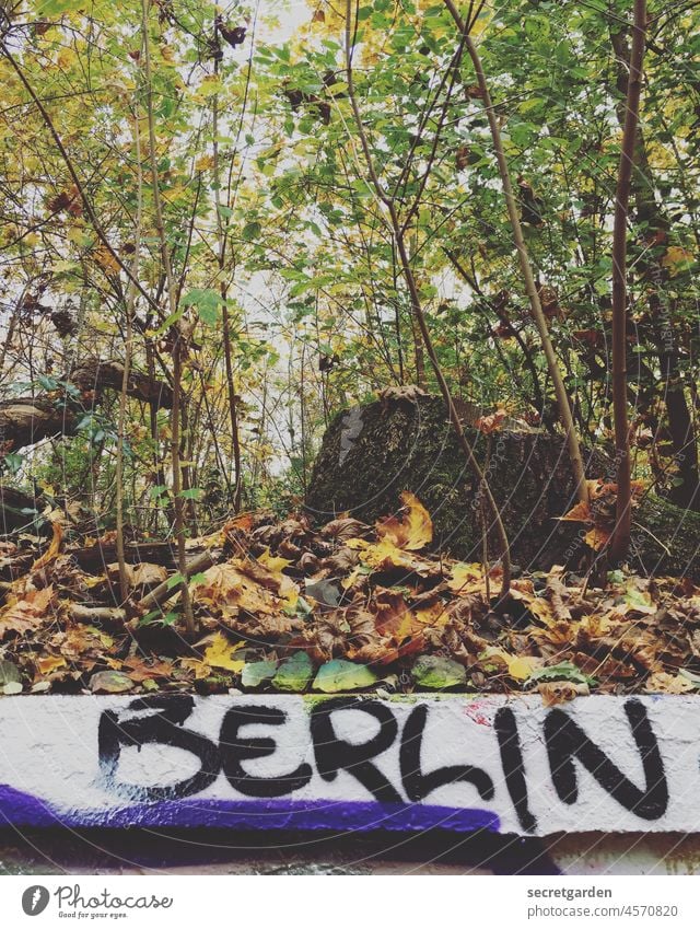 [UT Berlin 2021] Eines Tages ergibt alles einen Sinn (Berlin Edition) Graffiti Natur Schmiererei bunt Jugendkultur Straßenkunst Wand Wort Subkultur Typographie