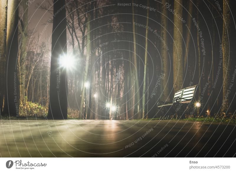 Leere Parkallee in einer nebligen Nacht im Spätherbst Bank Nebel Stimmung niemand keine Menschen Natur Baum Landschaft Ansicht Szene allein einsam Saison Herbst